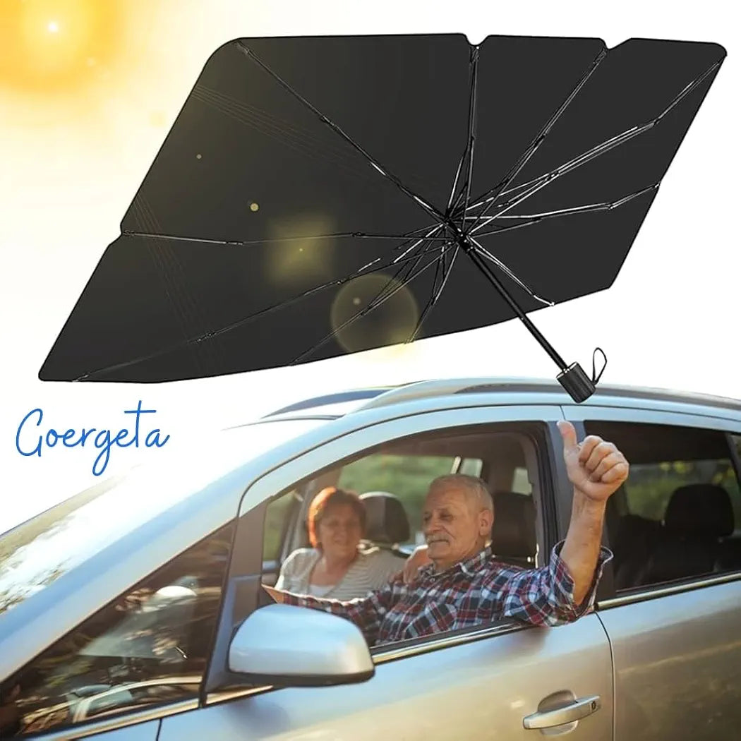 Car Umbrella (All-Season Car Protection, Reinvented)