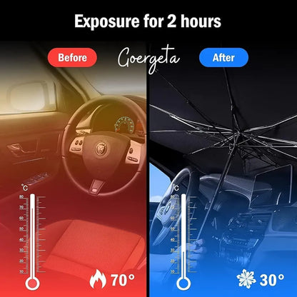 Car Umbrella (All-Season Car Protection, Reinvented)